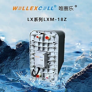 WELLEXCELL唯賽樂(lè)LXM18Z EDI模塊