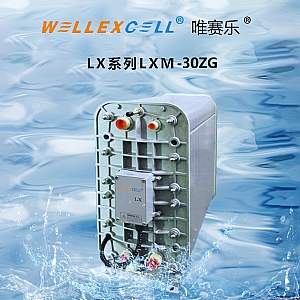 WELLEXCELL唯賽樂(lè)LXM30ZG EDI膜塊 EDI模塊